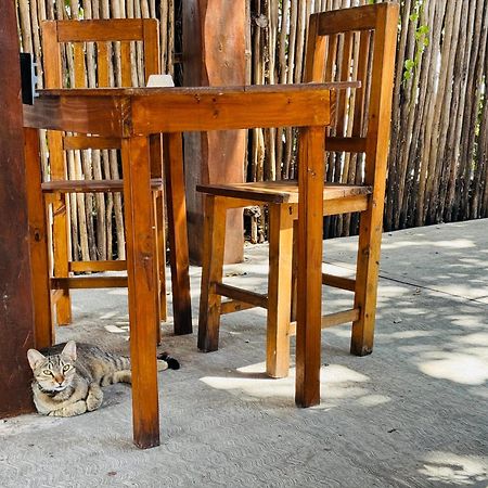 Ahava Hostal Boutique Cancun Luaran gambar
