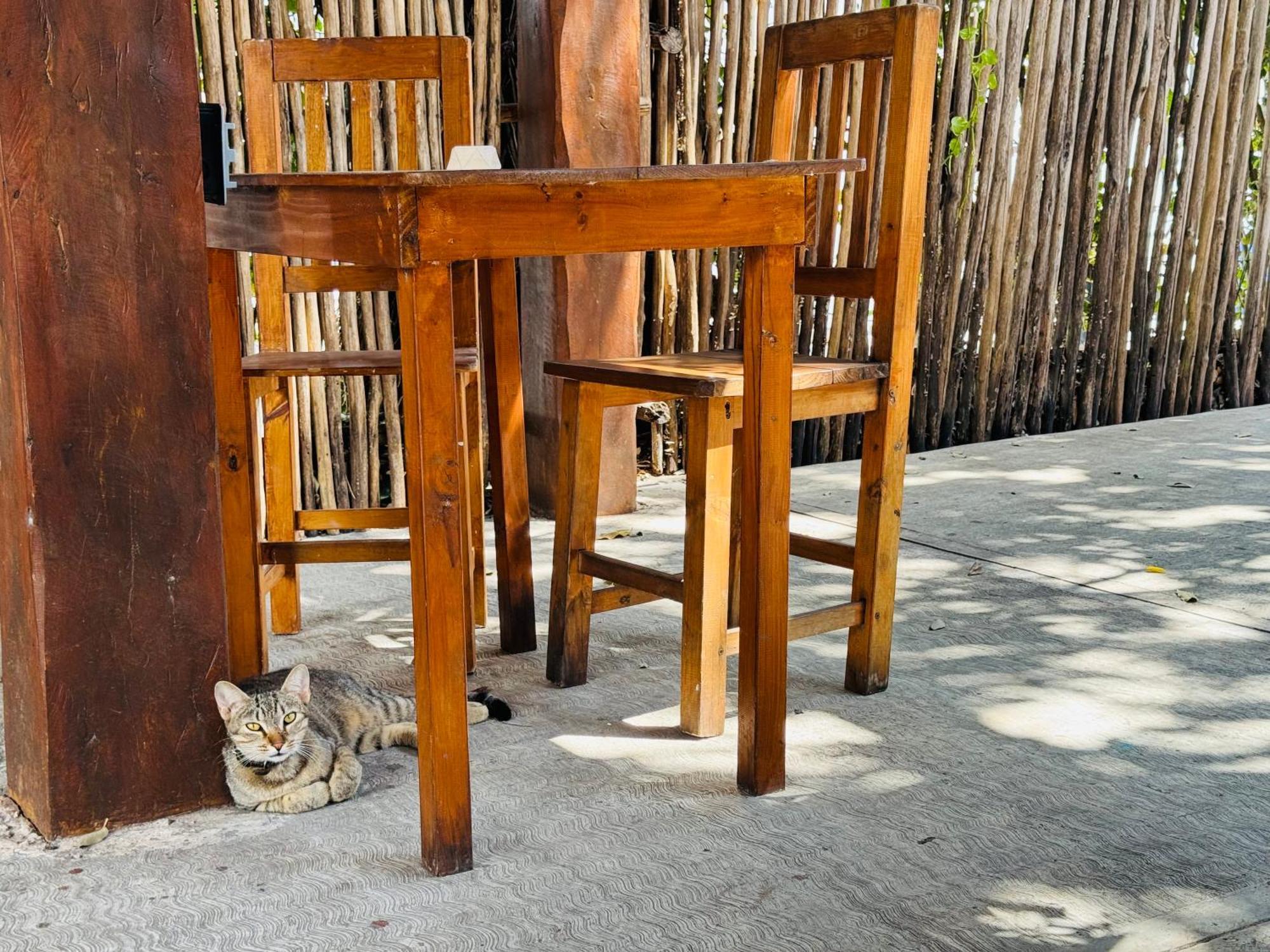 Ahava Hostal Boutique Cancun Luaran gambar